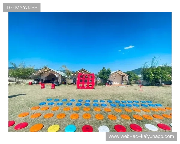 _极限飞盘大赛：空中飞舞的速度激情_，极限飞盘的正式比赛场地