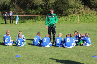 开云电子-中国篮球教练员技术战术创新能力提升路径，篮球教练发展