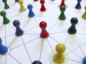 开云体育登录网站入口-国足换人策略与比分变化关系，国足换帅一说的准确性到目前依然无从核实