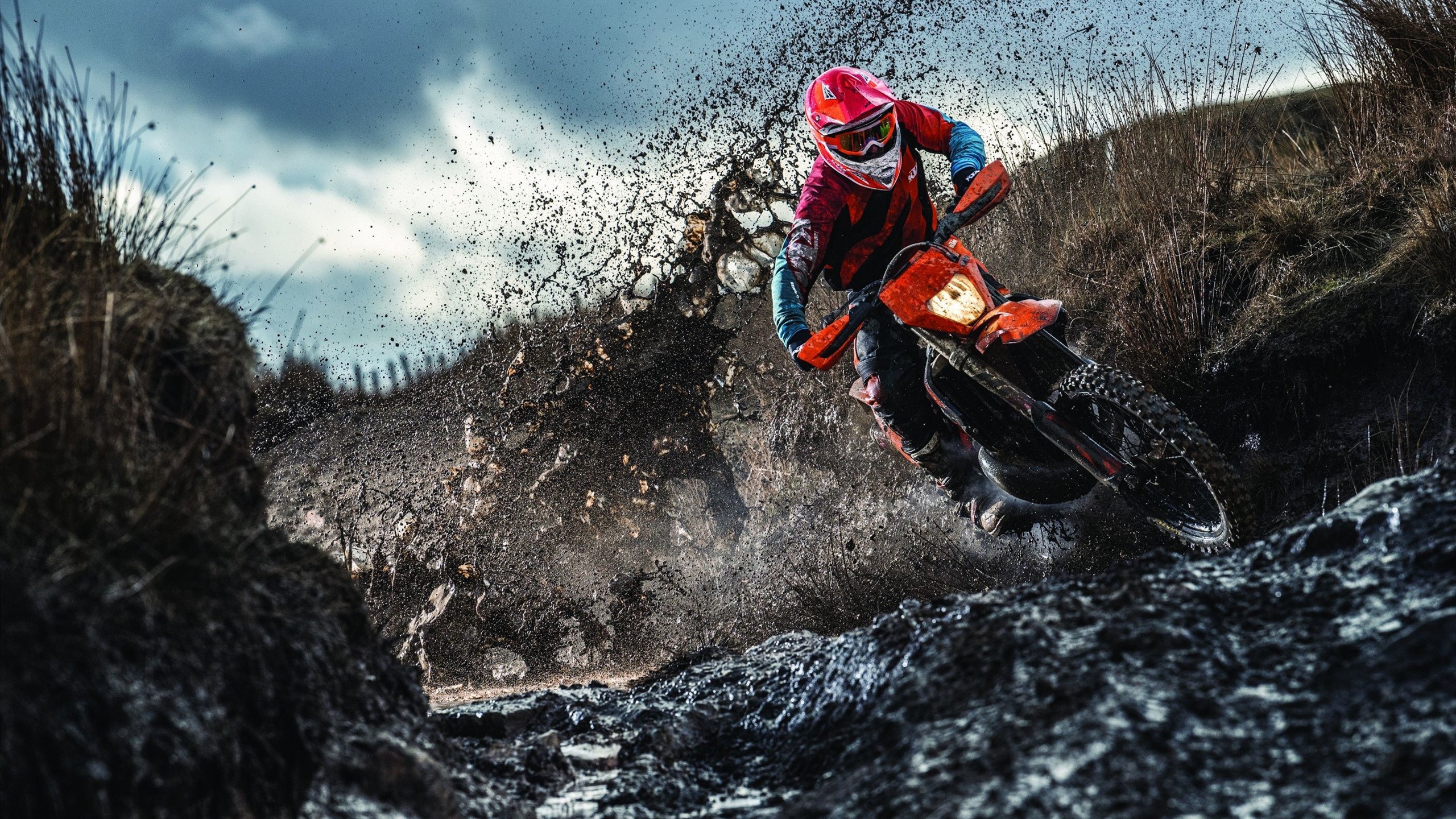 詹姆斯·奥康纳的突破与防守反击，改变比赛局势，詹姆弗康纳利照片