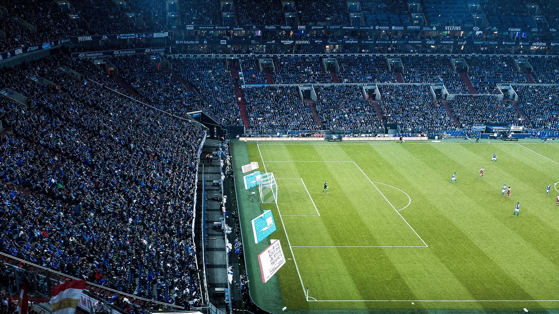 海地国际极限运动挑战赛火热开展，海地champion